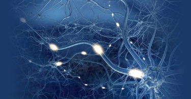 Crean dispositivo que rehabilita a pacientes con lesiones cerebrales