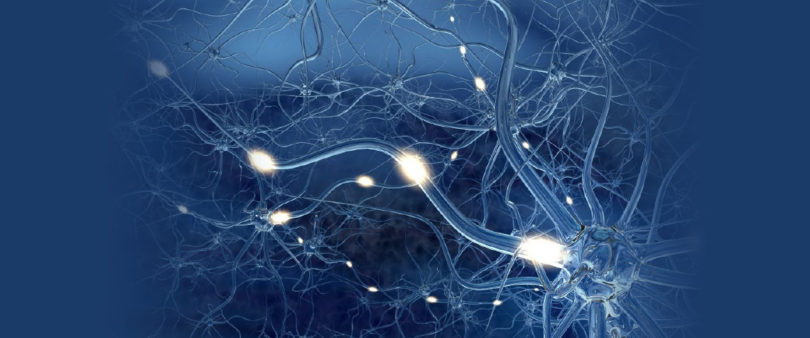Crean dispositivo que rehabilita a pacientes con lesiones cerebrales