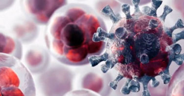 Desarrolla UNAM combinación de medicamentos de bajo costo contra el cáncer
