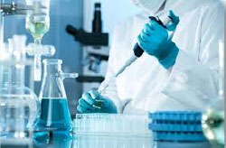 Las medicinas rumbo a la Cuarta Transformación