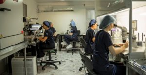 Niños sin enfermedades raras con diagnóstico genético