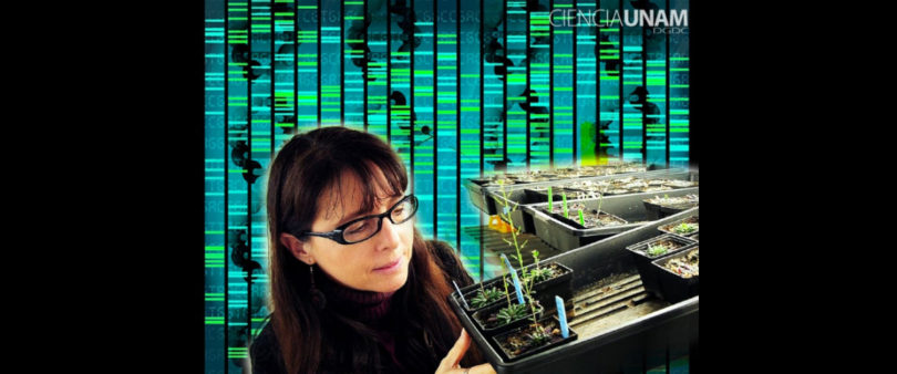 También de Ciencia se desviaron $50 mil millones en el sexenio pasado