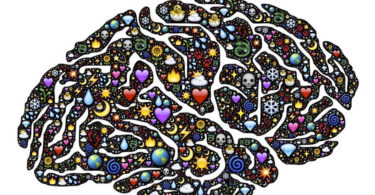 Hipotálamo, el ‘culpable’ del amor