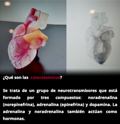 Síndrome de Takotsubo, ¿es posible morir de amor?