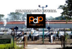 El peligroso metano