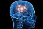 Existen 65 millones de personas en el mundo con epilepsia