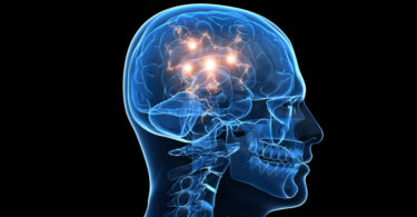 Existen 65 millones de personas en el mundo con epilepsia