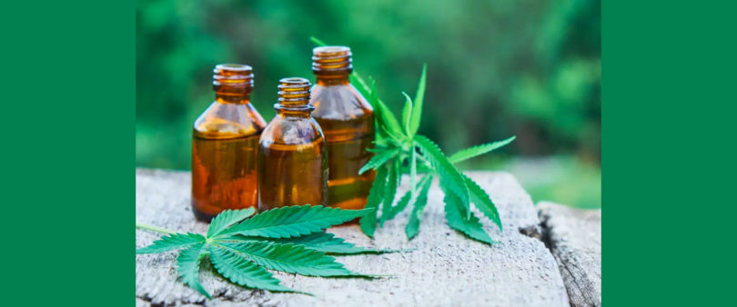 Piden que Cannabis se venda sólo en farmacias