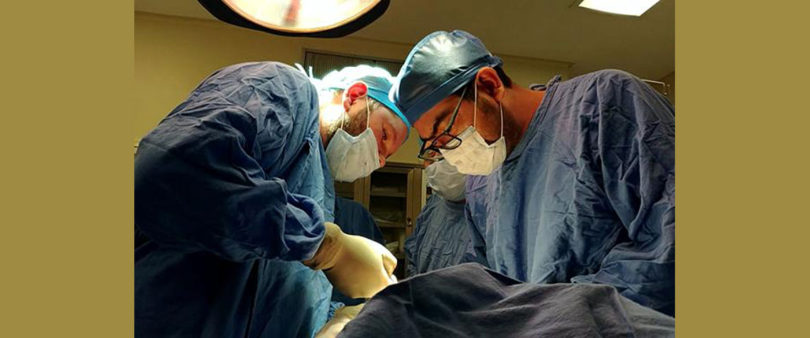 Regala vida menor de edad con muerte encefálica