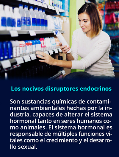 ¿Existe relación entre contaminación ambiental y cáncer de mama?