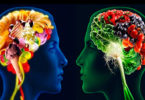 Afecta mala nutrición funcionamiento cognitivo