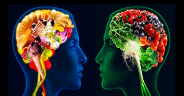Afecta mala nutrición funcionamiento cognitivo