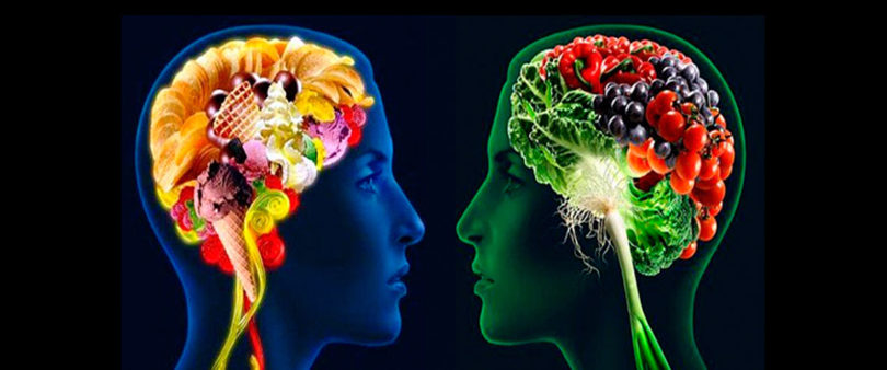 Afecta mala nutrición funcionamiento cognitivo