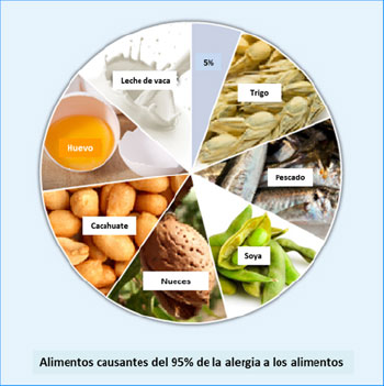 Algunos alimentos provocan hasta el 90% de las alergias alimentarias