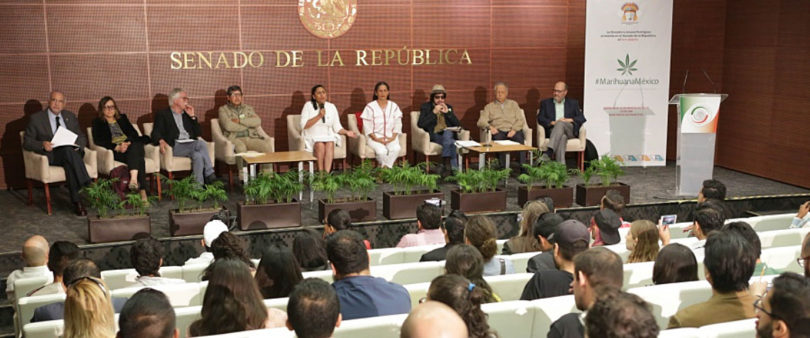 Legislación sobre marihuana debe estar este año: senadores