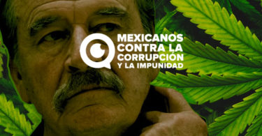 Investiga Cofepris a empresa de cannabis ligada a Vicente Fox