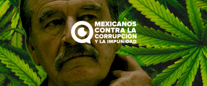 Investiga Cofepris a empresa de cannabis ligada a Vicente Fox