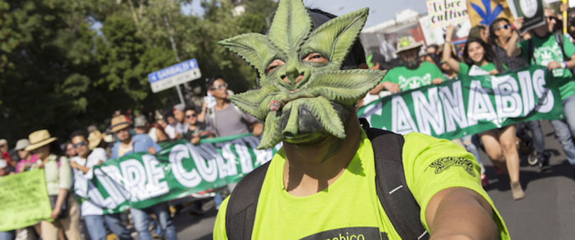 Marcha, mota y rock&roll por la despenalización