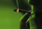 Urge Segob a reformar uso medicinal y consumo de Cannabis