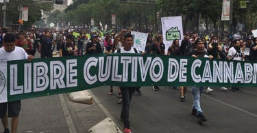 Marchan en AL y Europa por la Liberación de la Marihuana
