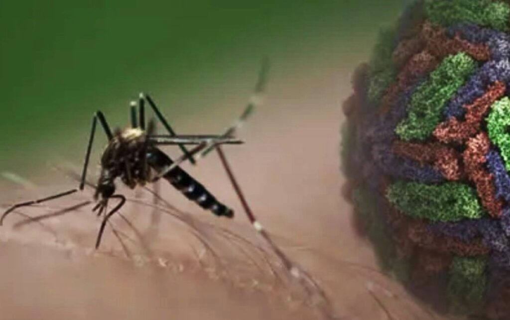 Dengue en México