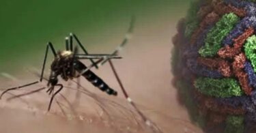 Dengue en México