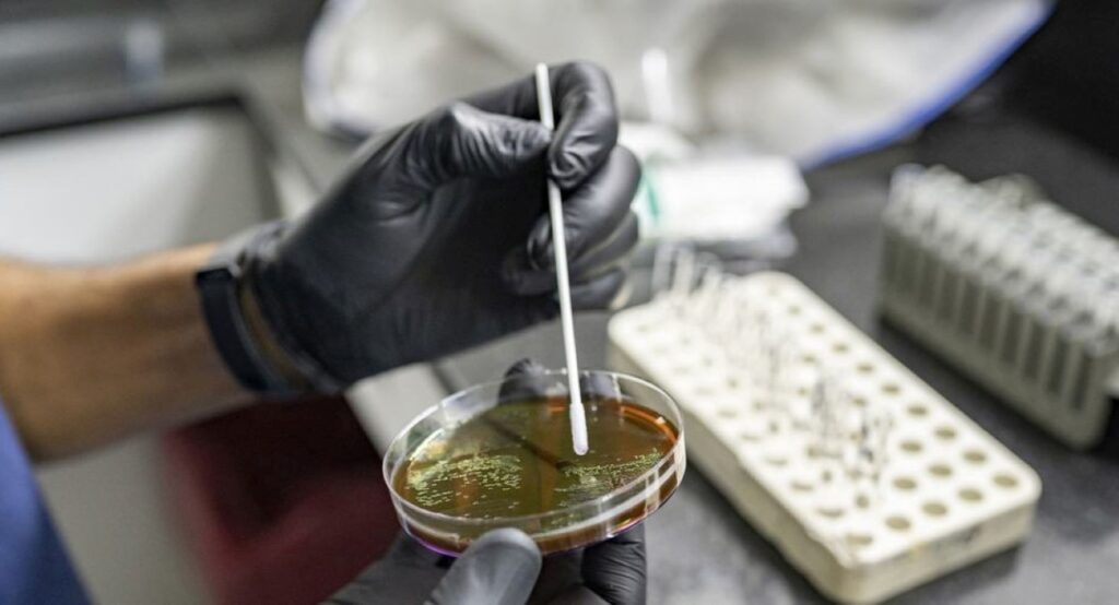 Resistencia Antimicrobiana_OMS