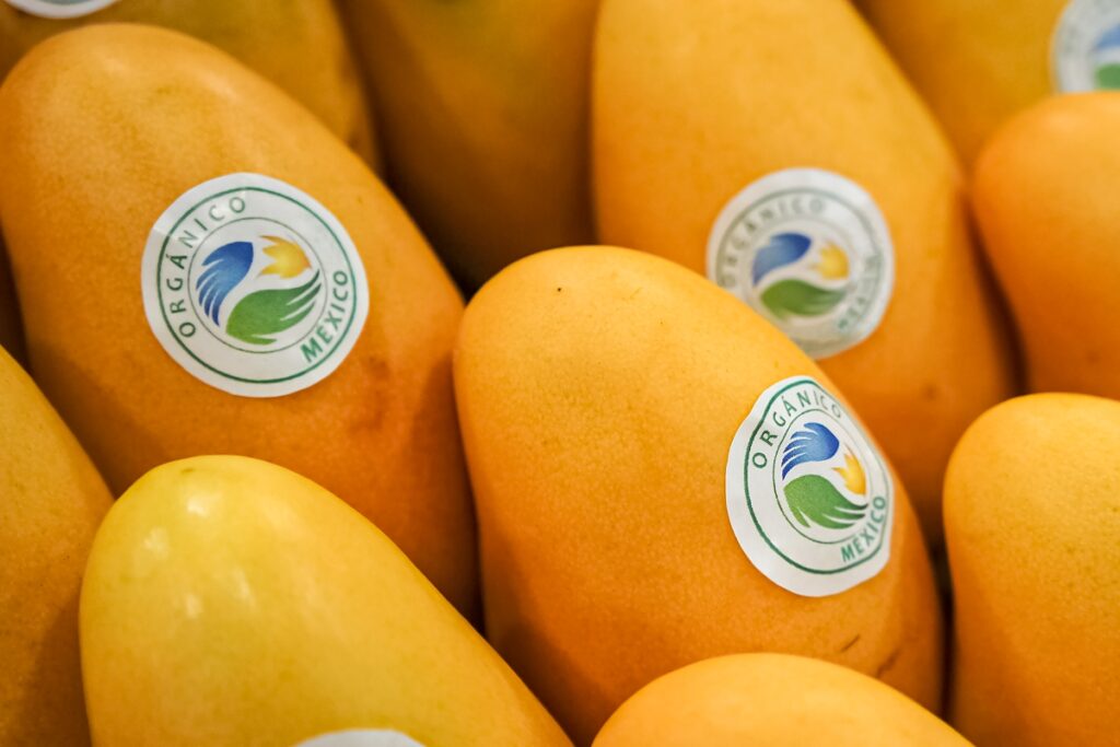 Mango mexicano orgánico_SADER