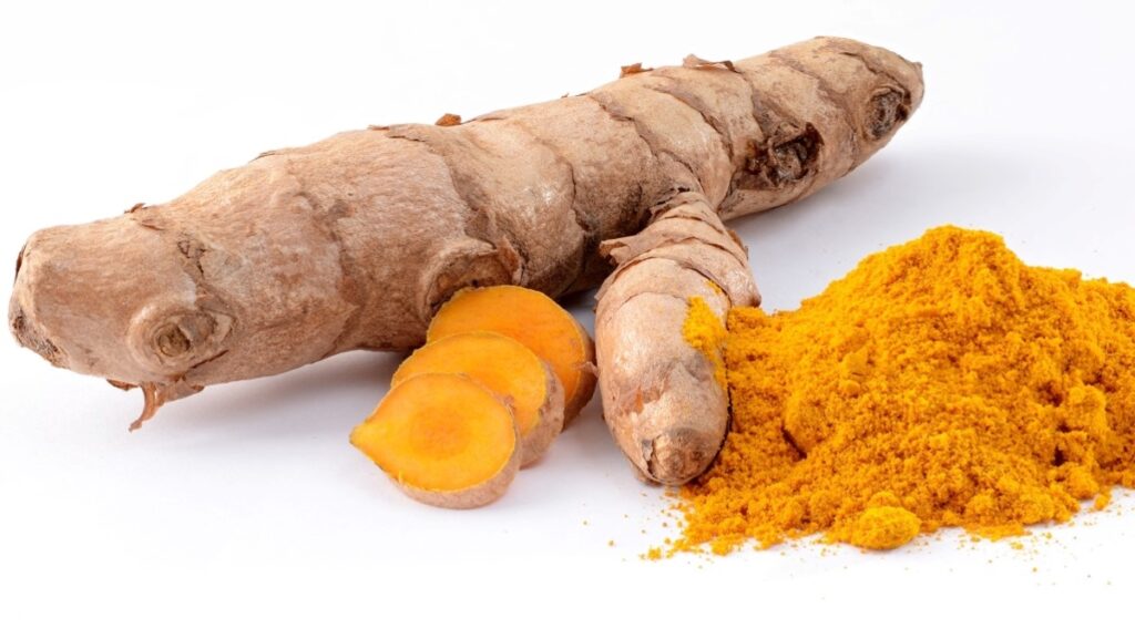 Curcuma longa