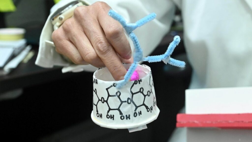 FOTO 1 Macromoléculas para medicamentos_UNAM