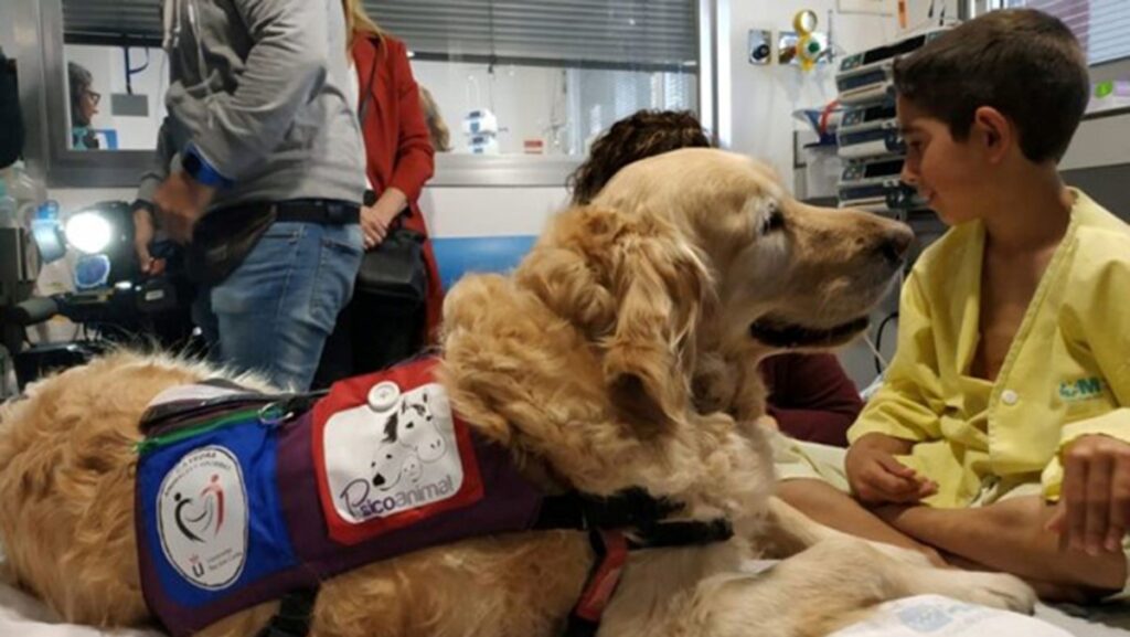 Perros-de-deteccion-medica_FMVZ-UNAM