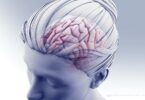 Acoso-y-dano-cardio-vascular_American-Heart-Association