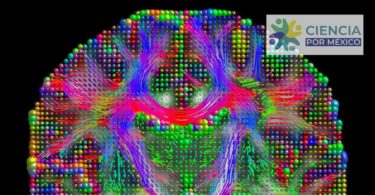 FOTO Algoritmo y cerebro_CIMAT