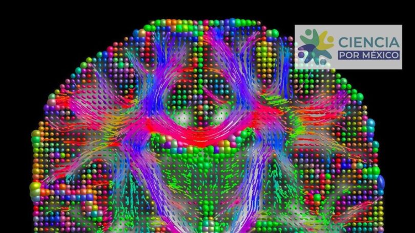 FOTO Algoritmo y cerebro_CIMAT