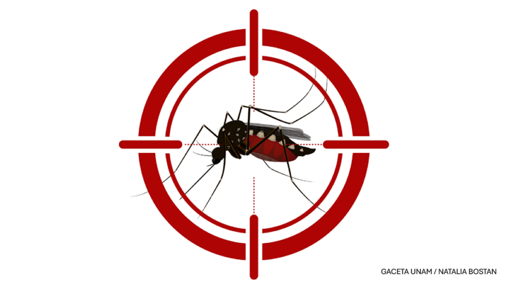 Dengue_Natalia-Bostan