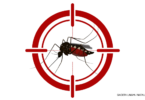 Dengue_Natalia-Bostan