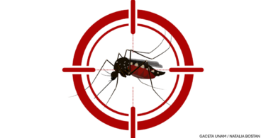 Dengue_Natalia-Bostan
