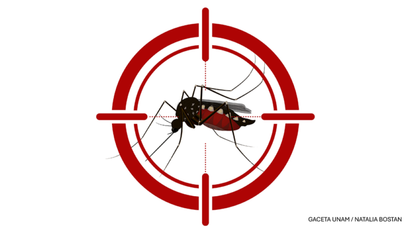 Dengue_Natalia-Bostan
